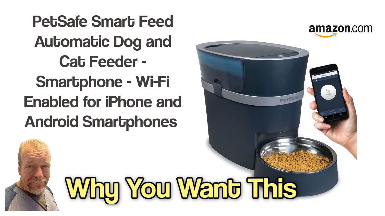 Automatic Feeder and The Three Reasons You Actually NEED One.